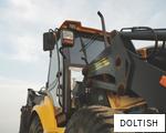 DOLTISH anagram