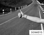 DONKEYS anagram