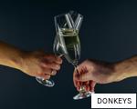DONKEYS anagram