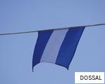 DOSSAL anagram