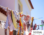 DOSSAL anagram
