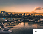 DOTE anagram
