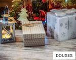 DOUSES anagram