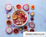 DRACUNCULUS anagram