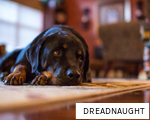 DREADNAUGHT anagram