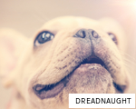 DREADNAUGHT anagram