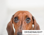 DREADNAUGHT anagram