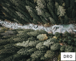 DRO anagram