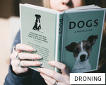 DRONING anagram
