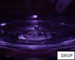 DROP anagram
