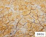 DROU anagram