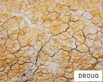 DROUG anagram