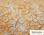 DROUGH anagram