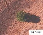 DROUGH anagram