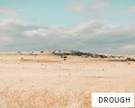 DROUGH anagram