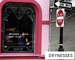 DRYNESSES anagram