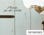 DRYNESSES anagram
