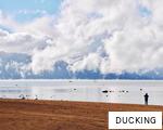 DUCKING anagram