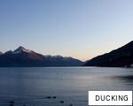 DUCKING anagram