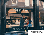 DULCINEA anagram