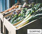 DUMPING anagram
