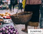 DUMPING anagram