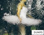 DUMPS anagram