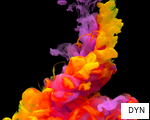 DYN anagram