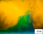 DYN anagram