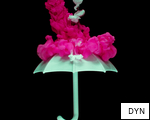 DYN anagram