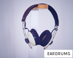 EARDRUMS anagram