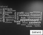 EARWIG anagram