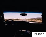 EARWIG anagram