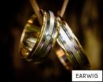 EARWIG anagram