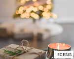 ECESIS anagram