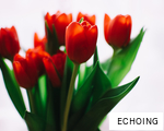 ECHOING anagram