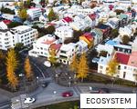 ECOSYSTEM anagram