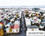 ECOSYSTEM anagram