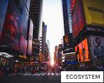 ECOSYSTEM anagram