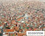 ECOSYSTEM anagram
