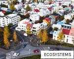 ECOSYSTEMS anagram