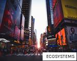 ECOSYSTEMS anagram