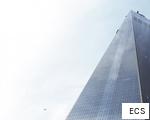 ECS anagram