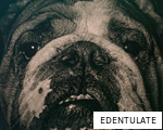 EDENTULATE anagram