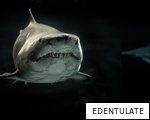 EDENTULATE anagram