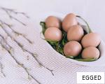 EGGED anagram