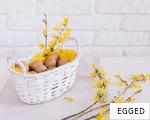 EGGED anagram