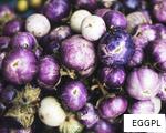 EGGPL anagram
