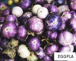 EGGPLA anagram