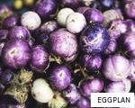 EGGPLAN anagram